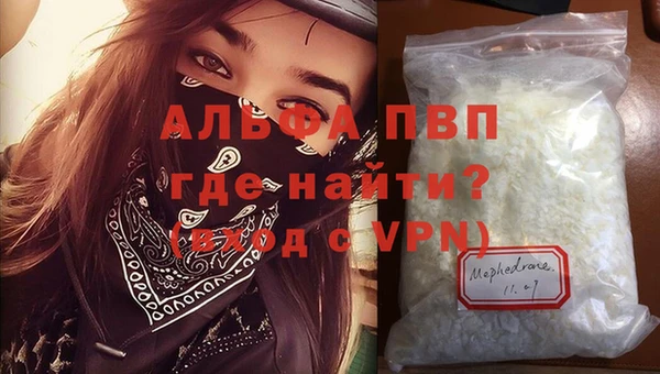 мяу мяу мука Михайлов