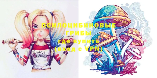 мяу мяу мука Михайлов