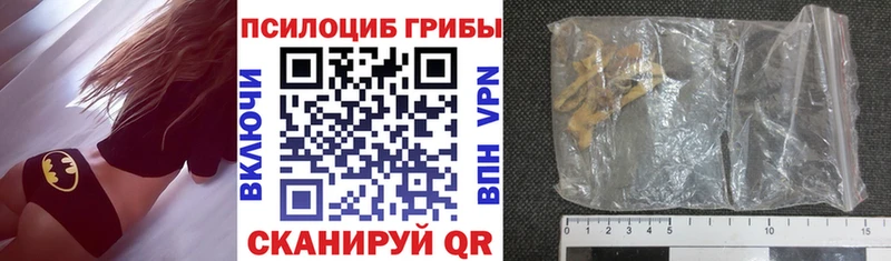Купить где Дигора Галлюциногенные грибы мухоморы